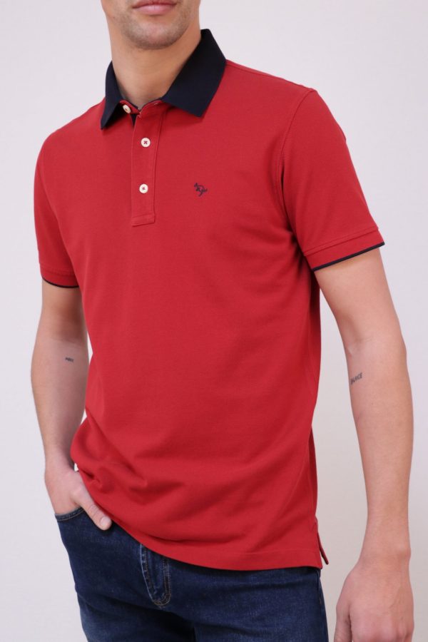 IMG_9212_dcac369e-69b1-42d8-9068-803a1b1d120c