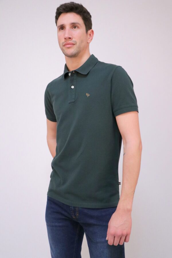 Verde Garrafa - S